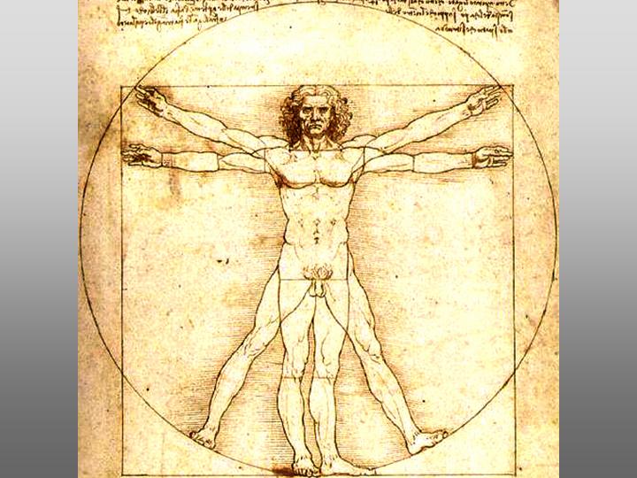 Vitruvian Man by DaVinci