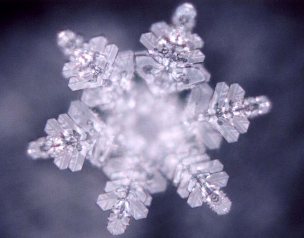 Water Crystal Masaru Emoto