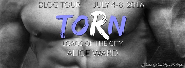 Torn Book Tour Banner