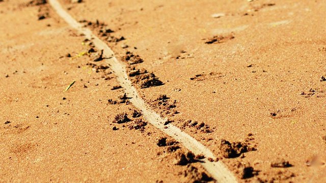 Take a Stand Line in the Sand Image