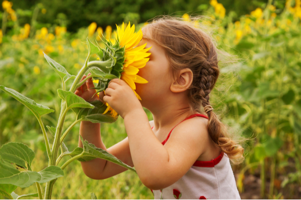 In the Now Moment Smell the Flowers