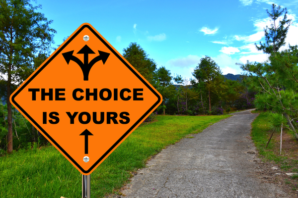 The Choice Is Yours for Life Is a Sorting Game Blog